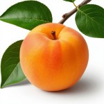 Абрикосы - состав и БЖУ