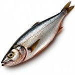 Анчоусы - состав и БЖУ