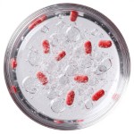 Аспартам - состав и БЖУ