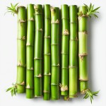 Бамбуковые побеги - состав и БЖУ