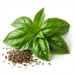 Базилик сухой - состав и БЖУ