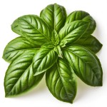 Базилик - состав и БЖУ