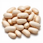 Фасоль белая сухая - состав и БЖУ