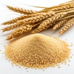 Глютен клейковина пшеничная - состав и БЖУ
