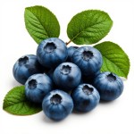 Голубика - состав и БЖУ