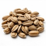 Семечки подсолнуха очищенные - состав и БЖУ